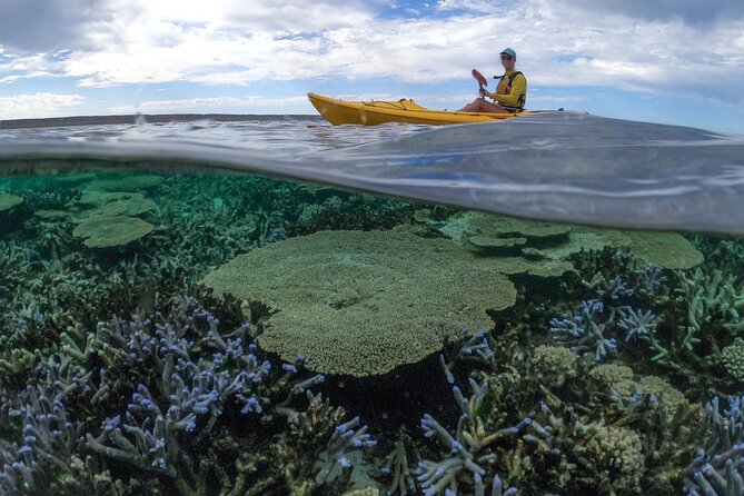 Coral By Kayak - Ningaloo Reef Half Day Kayak & Snorkel Tour - Snorkeling From Your Kayak Mooring: Aquarium-Time With a Guide at Your Side