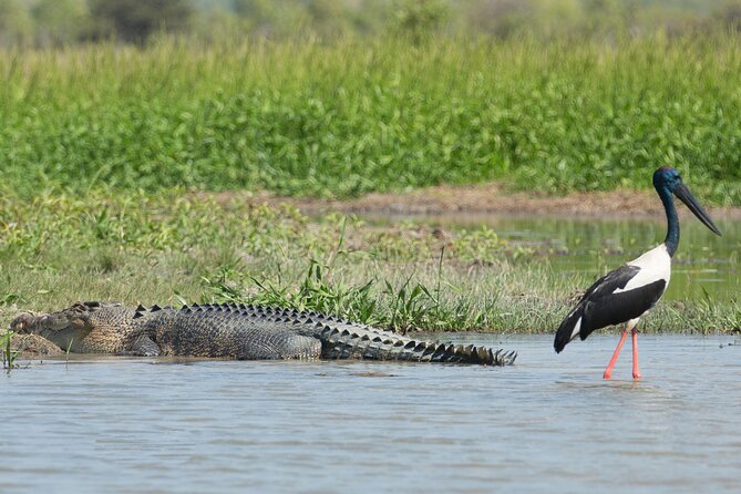 Corroboree Billabong 2.5 hour Lunch Cruise - Who this cruise suits best (and who might want another option)