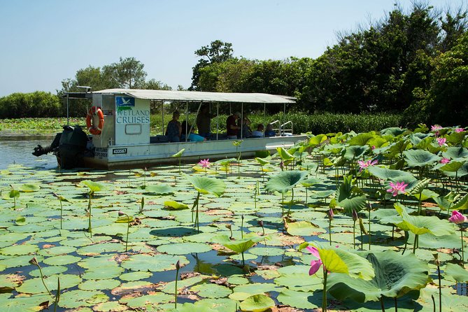 Corroboree Billabong Wetland Cruises - 1.5 hour Morning cruise - Price and value: what $53.79 buys you