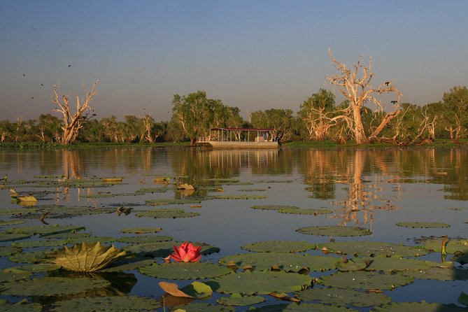 Corroboree Billabong Wetland Cruises - 2 hour Sunset Cruise - Key Things That Make This Cruise Worth Your Time