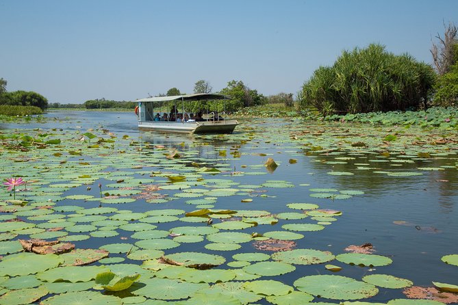 Corroboree Billabong Wetland Cruises - 2 hour Sunset Cruise - Corroboree Billabong at Golden Hour: What You’re Really Paying For