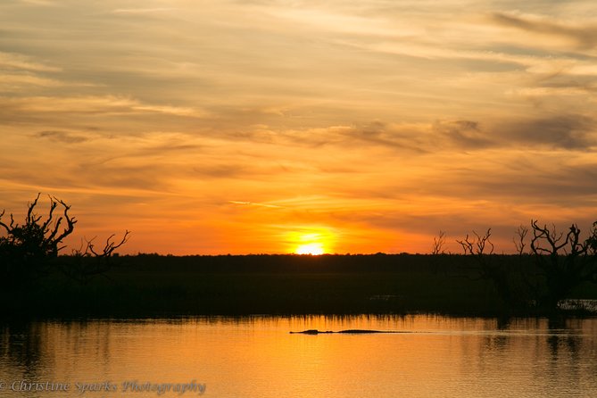 Corroboree Billabong Wetland Cruises - 2 hour Sunset Cruise - The Sunset Moment: What the Two-Hour Ride Feels Like