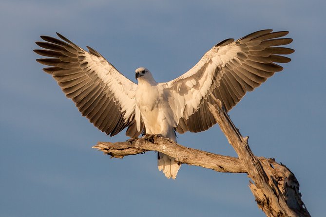 Corroboree Billabong Wetland Cruises - 2 hour Sunset Cruise - Getting There from Darwin: Your Own Car Plan Makes It Easier