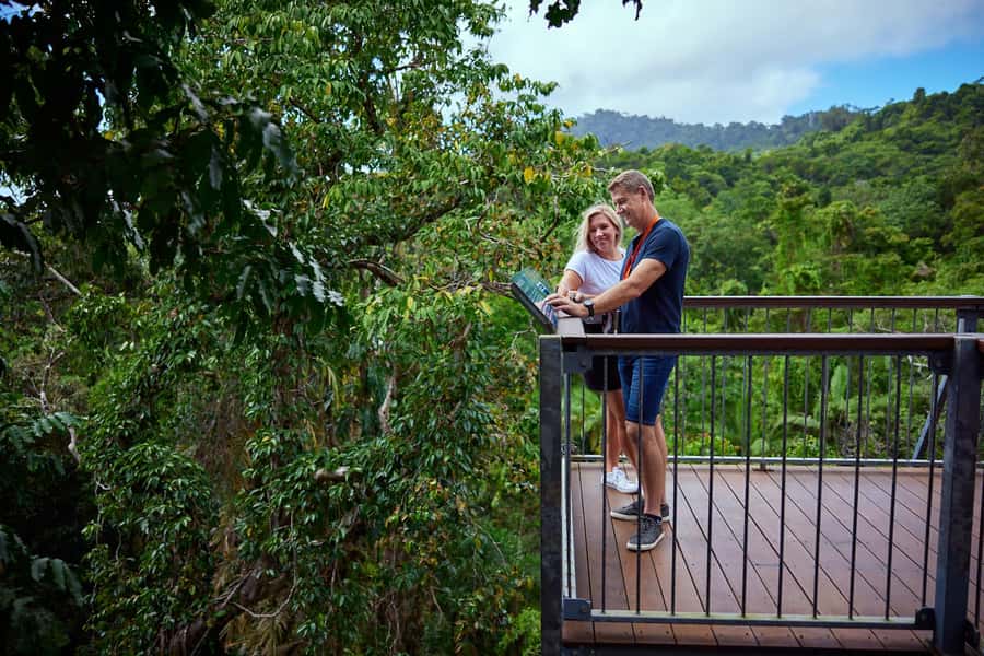 Cow Bay: Daintree Discovery Centre Entry Ticket - Key Highlights You’ll Actually Feel On Arrival