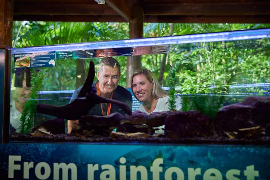 Cow Bay: Daintree Discovery Centre Entry Ticket - Entering the Discovery Centre: How to Get Your Bearings Fast
