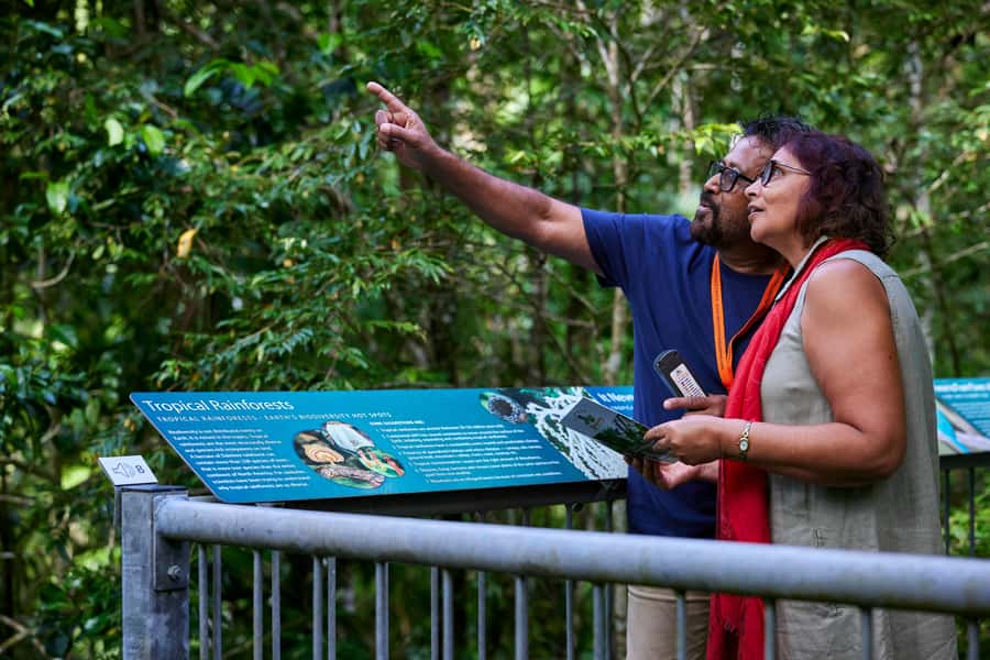 Cow Bay: Daintree Discovery Centre Entry Ticket - Canopy Tower and Aerial Walkway: The 76-Foot View That Changes Everything