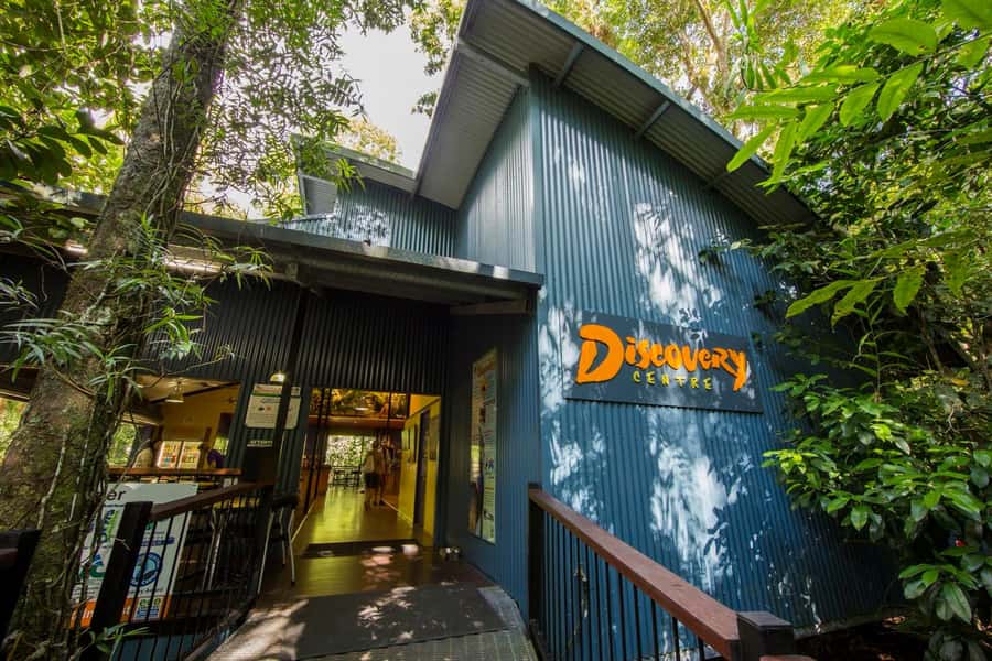 Cow Bay: Daintree Discovery Centre Entry Ticket - Bush Tucker Trail: Learning the Forest Through Use, Not Just Beauty