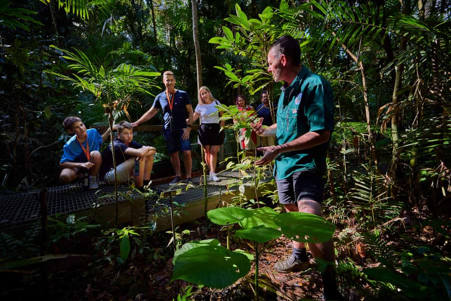 Cow Bay: Daintree Discovery Centre Entry Ticket - Cassowary Trail: Spot the Big Bird Energy