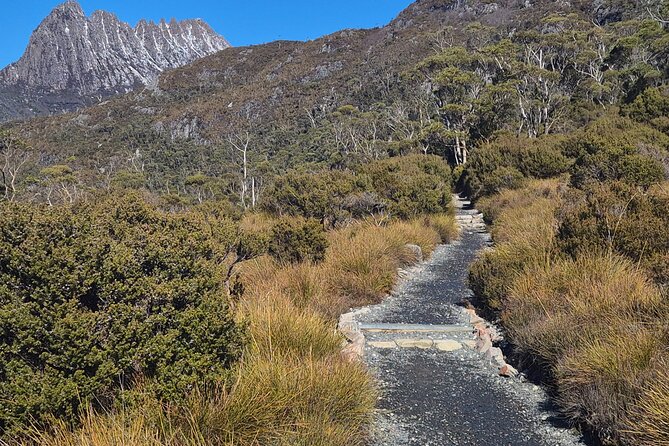 Cradle Mountain Day Tour: Dove Lake Guided Hike with Lunch - Who should book this Dove Lake guided hike (and who should skip it)