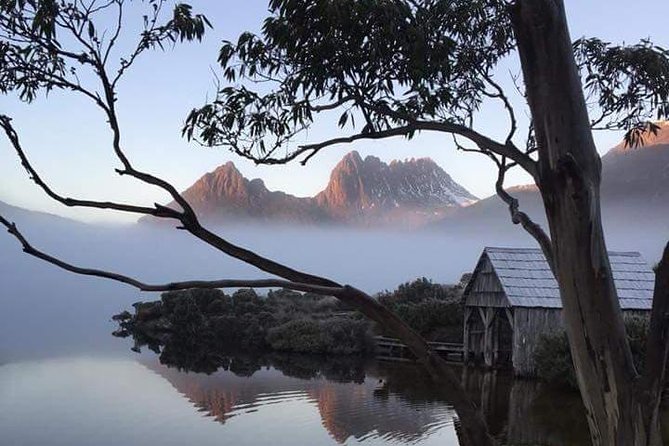 Cradle Mountain Day Tour from Launceston Including Lunch - Dove Lake: the view everyone comes for