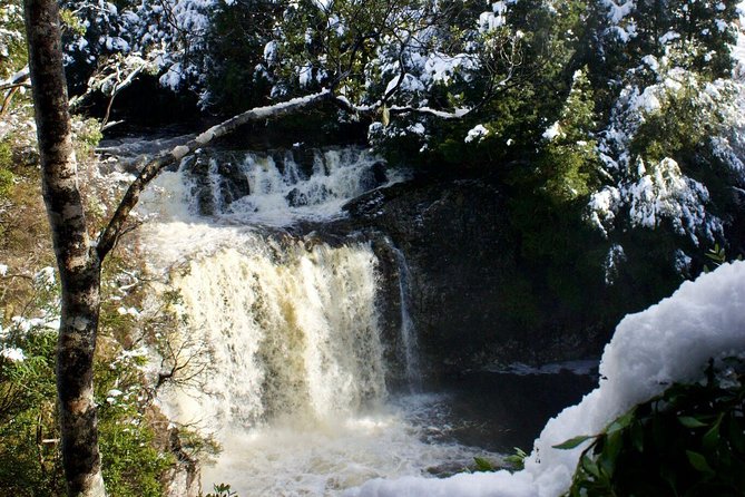 Cradle Mountain Day Tour from Launceston Including Lunch - Pickup at 7:30 and how to make the day feel easy