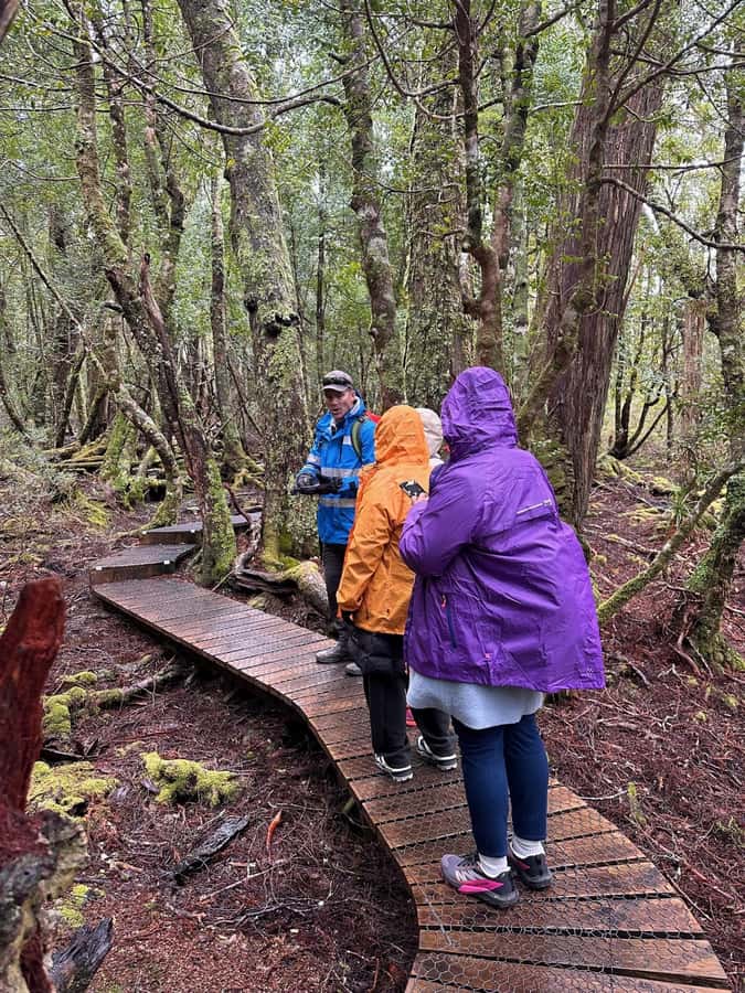 Cradle Mountain: Fully Guided Dove Lake Day Tour with Lunch - Wildlife, views, and what the guide brings to the walk
