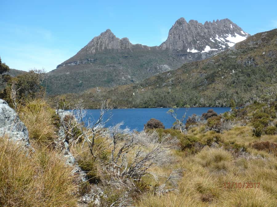 Cradle Mountain: Fully Guided Dove Lake Day Tour with Lunch - Sheffield and the mural-town stop you’ll actually appreciate