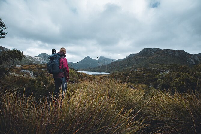 Cradle Mountain Half Day Dove Lake Guided Tour with Lunch - Key highlights to plan for