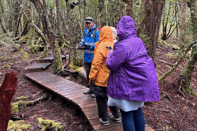 Cradle Mountain Half Day Dove Lake Guided Tour with Lunch - Dove Lake Circuit: the 6km walk that sets the tone