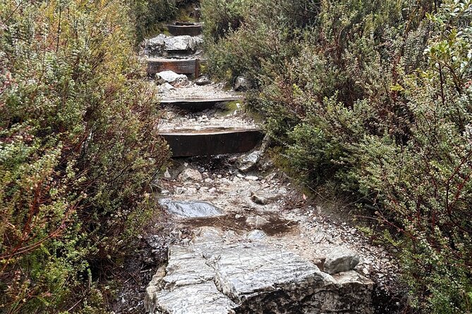 Cradle Mountain Half Day Dove Lake Guided Tour with Lunch - Lunch included: keeping the half-day from feeling rushed