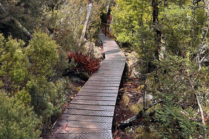 Cradle Mountain Half Day Dove Lake Guided Tour with Lunch - Group size and pacing: why it can feel almost private
