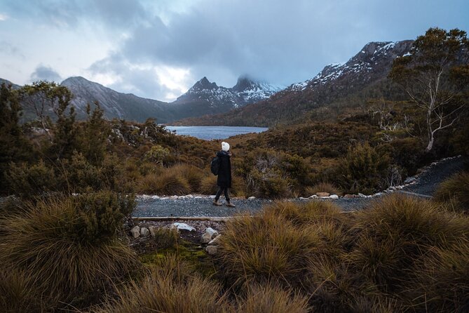 Cradle Mountain Half Day Park Explorer Tour with Lunch - Dove Lake and the Boatshed: The Photo Spot with Guided Context