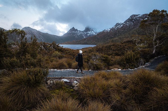 Cradle Mountain Half Day Park Explorer Tour with Lunch - Wildlife and All-Weather Transport: How to Plan for Real Conditions