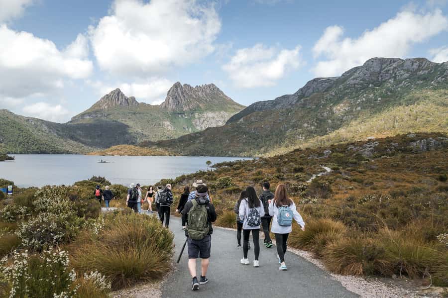 Cradle Mountain National Park by Coach from Launceston - Cethana Dam and the arrival feeling: when the forest tightens