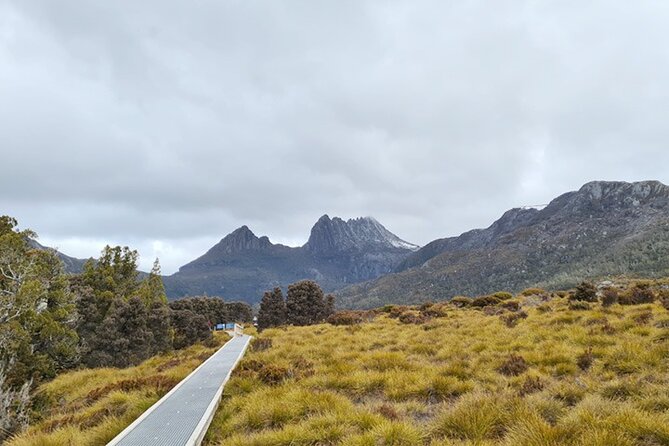 Cradle Mountain National Park Day Tour from Launceston - Key Things I’d Make Sure You Notice