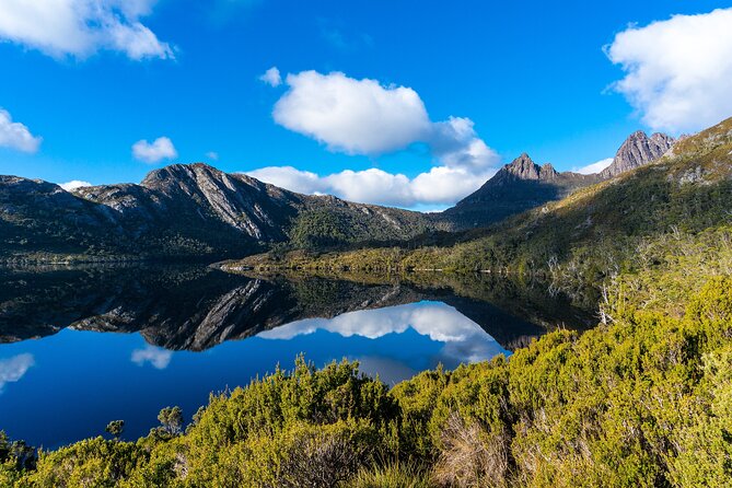 Cradle Mountain National Park Day Tour from Launceston - Cradle Mountain Time on the Ground (Plus Forest Walking)