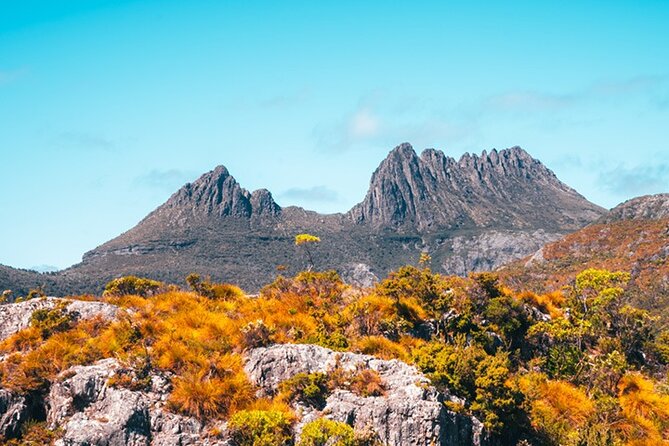 Cradle Mountain National Park Day Tour from Launceston - Morning Setup in Launceston: 7:30 Pickup and a Real Start Time