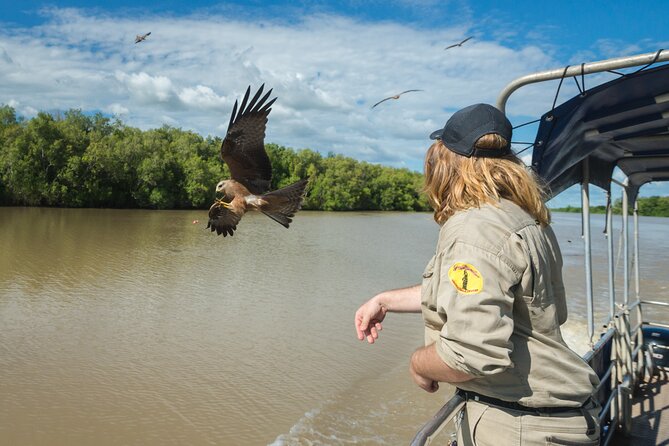 Crocodile Jumping Boat Cruise with Transfer from Darwin - Small-group comfort and practical limits you should plan for