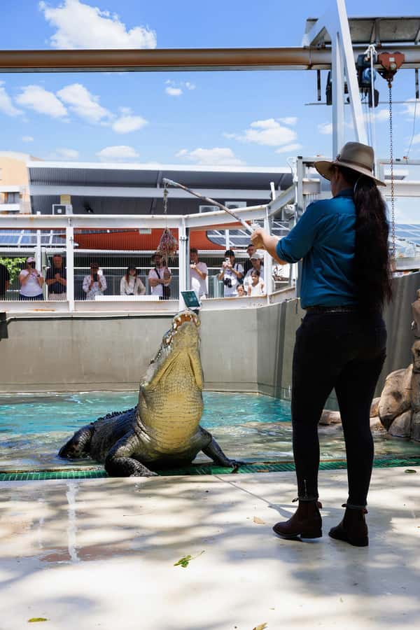 Crocosaurus Cove General Admission Ticket - Ticket Value: What $28 Includes, and What’s Extra