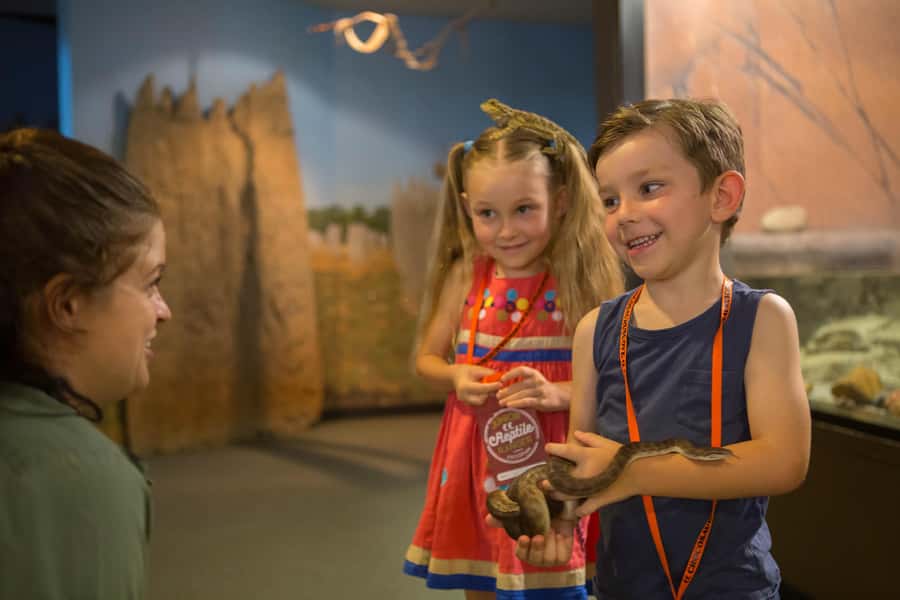Crocosaurus Cove General Admission Ticket - How the Day Flows: Timing the Feeds, Talks, and Reptile Moments