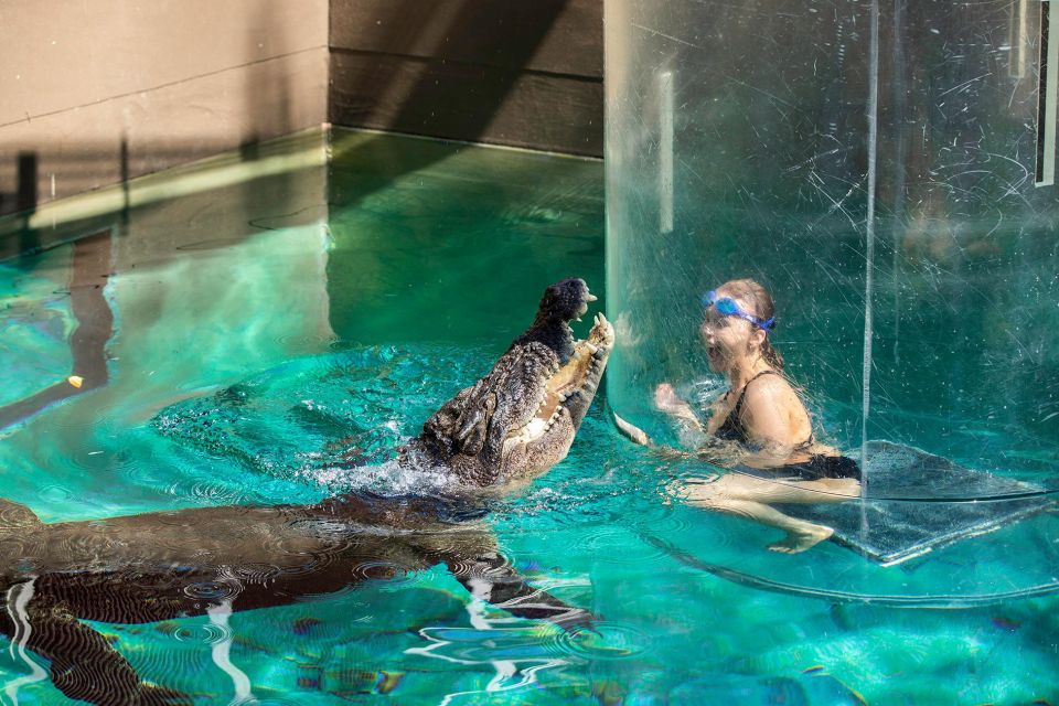 Crocosaurus Cove General Admission Ticket - Practical Tips: How to Make the Most of a 1-Day Visit