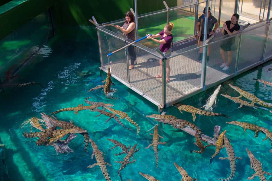 Crocosaurus Cove General Admission Ticket - Location and Getting There: 58 Mitchell St, Darwin City NT 0800