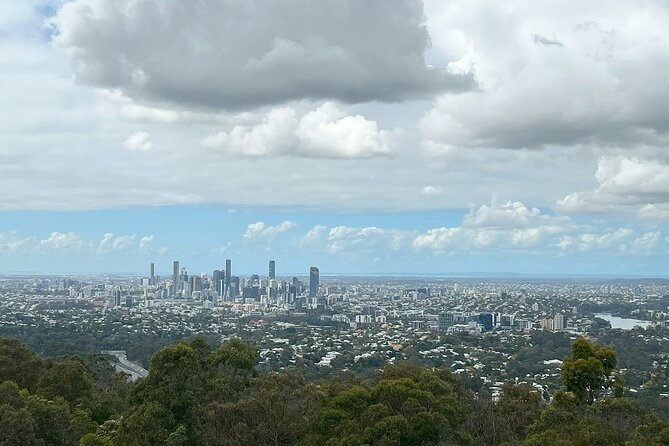 Cruise Lines Shore Tour Brisbane Highlights and Lone Pine - Where you start and what the schedule feels like onboard