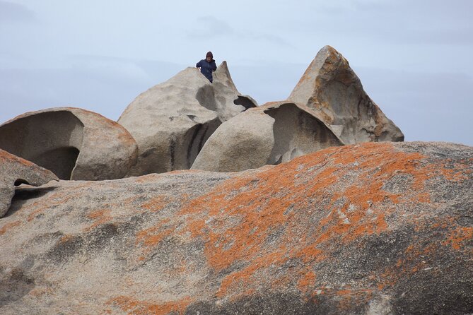 Cruise Ship Flinders Chase Tour - Vivonne Bay’s jetty: turquoise views and a quick food-and-photo reset