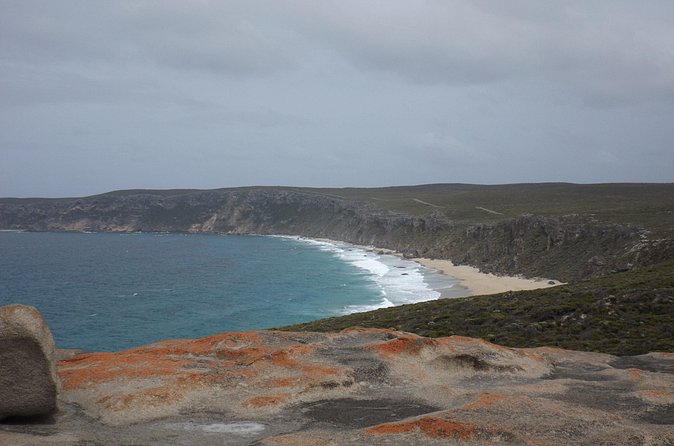Cruise Ship Flinders Chase Tour - Admirals Arch: a boardwalk walk that pays off in photos