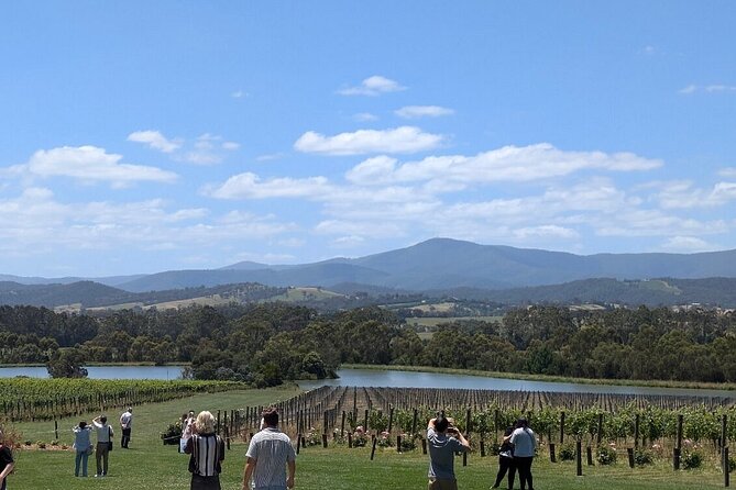 Cruise Ship Friendly Yarra Valley Wine Tour with Port Pickup - Key takeaways before you book