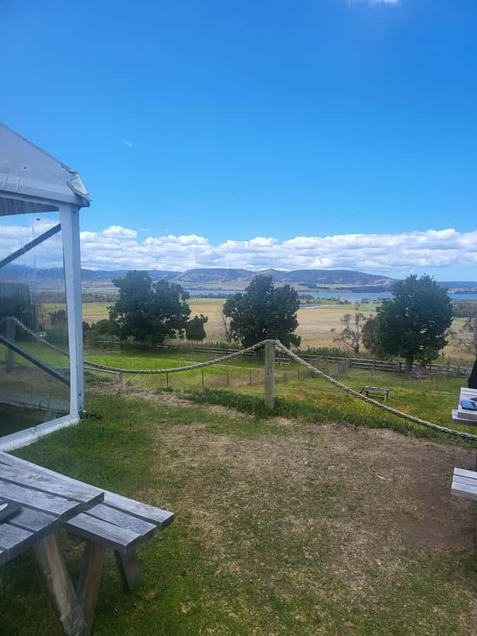 Cruise Ship - Wine Shore Excursion - Hobart - Wicked Cheese Factory: The Smart Pairing Detour