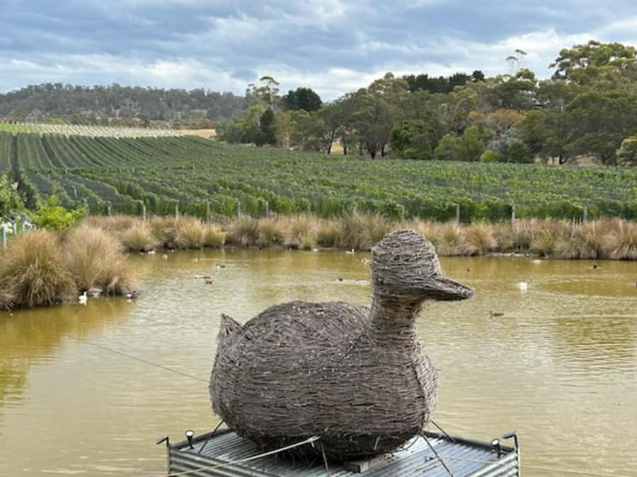 Cruise Ship - Wine Shore Excursion - Hobart - Who This Tour Fits Best (and Who Should Skip It)