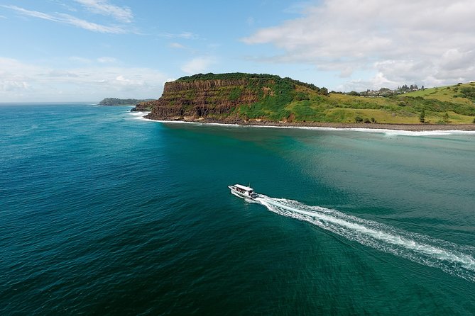 Cruise with Dolphins in Byron Bay - Price and value: what $68.14 covers (and why it’s not just a cheap thrill)