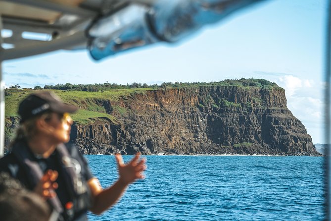Cruise with Dolphins in Byron Bay - Tips to get the best experience during your dolphin search