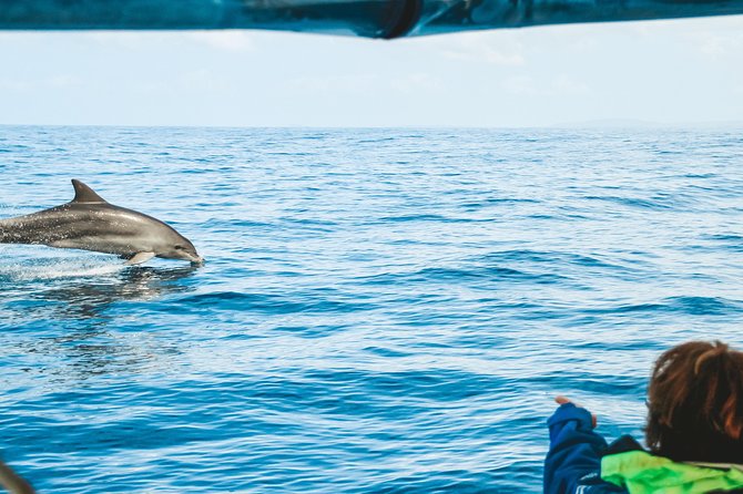 Cruise with Dolphins in Byron Bay - Getting to Lance Ferris Wharf: a 30-minute drive from Byron Bay