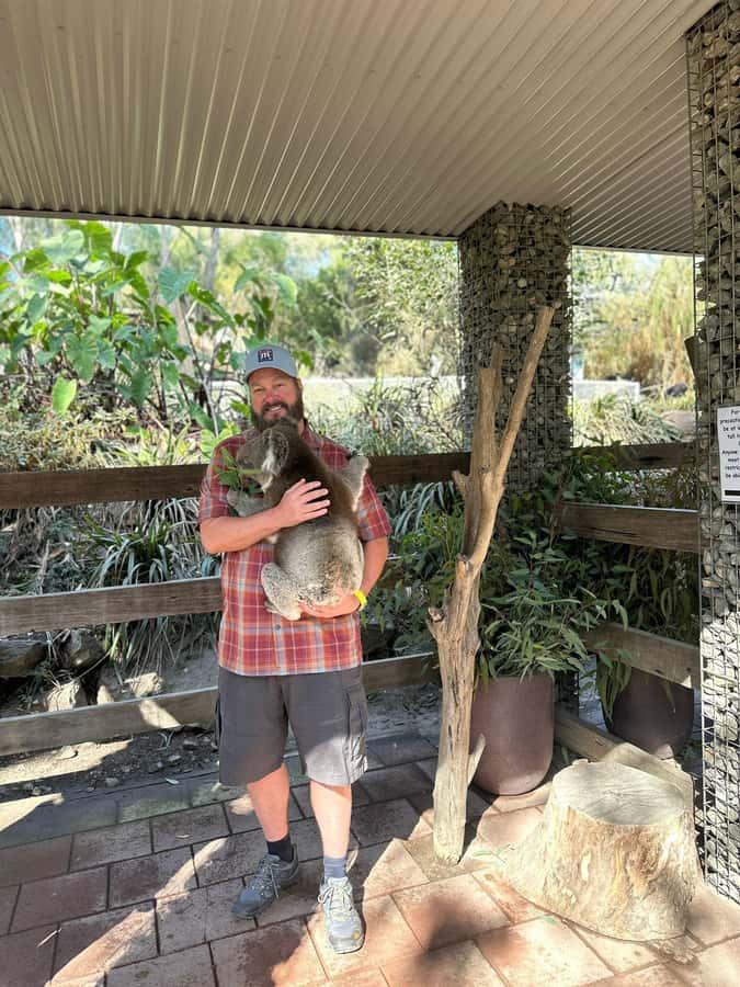 Cuddle a Koala and Historic Hahndorf Tour - Gorge Wildlife Park: koala cuddle time and the kangaroo feed moment