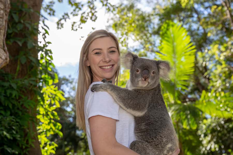 Currumbin Wildlife Sanctuary Entry Ticket - Key highlights at a glance