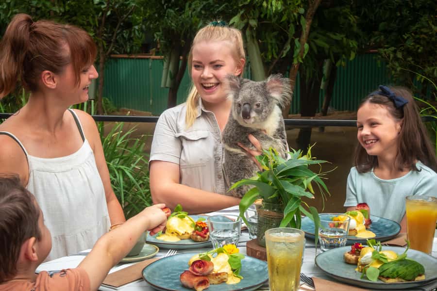 Currumbin Wildlife Sanctuary Entry Ticket - Currumbin Wildlife Sanctuary Entry Ticket: what you’re really buying