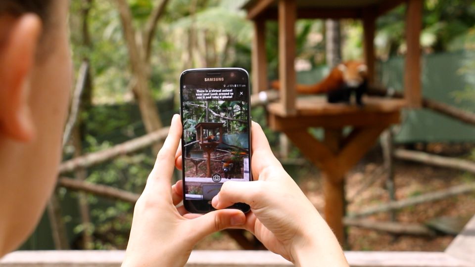 Currumbin Wildlife Sanctuary Entry Ticket - Wildlife Hospital: conservation you can see, not just read about