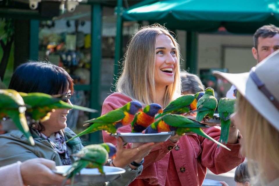 Currumbin Wildlife Sanctuary Entry Ticket - Shows and presentations: how to structure your day without stress