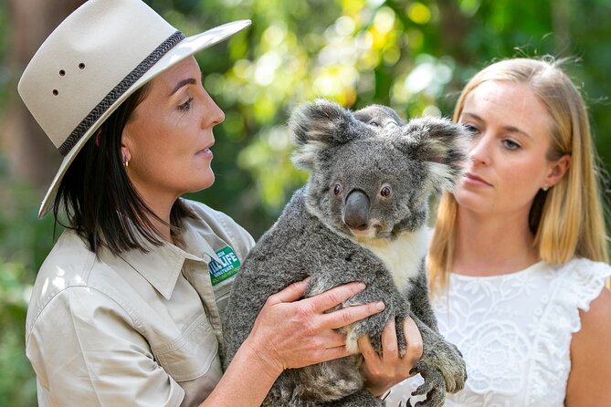 Currumbin Wildlife Sanctuary General Entry Ticket - The rest of the sanctuary: animals, shows, and the “do it your way” rhythm