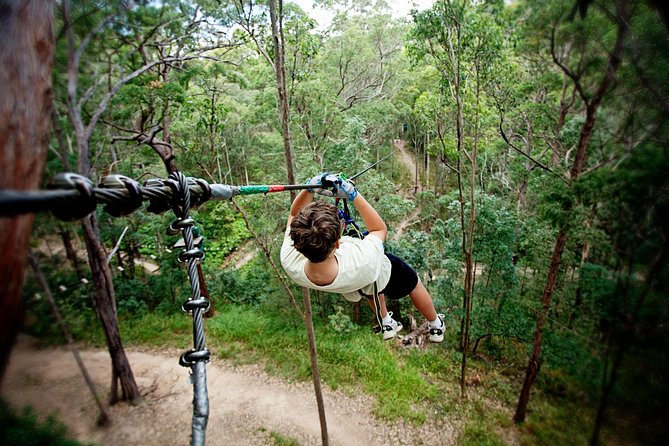 Currumbin Wildlife Sanctuary General Entry Ticket - Food, feeding moments, and what costs extra