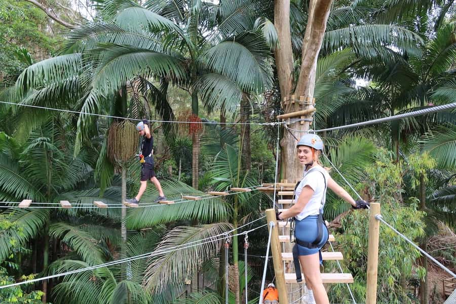 Currumbin Wildlife Sanctuary & TreeTop Challenge Combo - A two-in-one Currumbin day that actually feels convenient