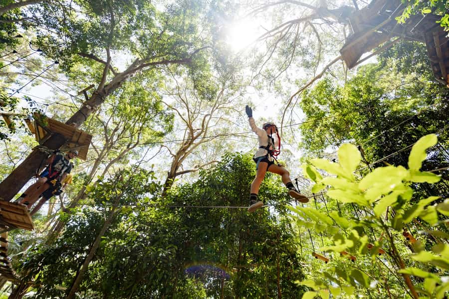 Currumbin Wildlife Sanctuary & TreeTop Challenge Combo - Who should book this combo, and who should skip it